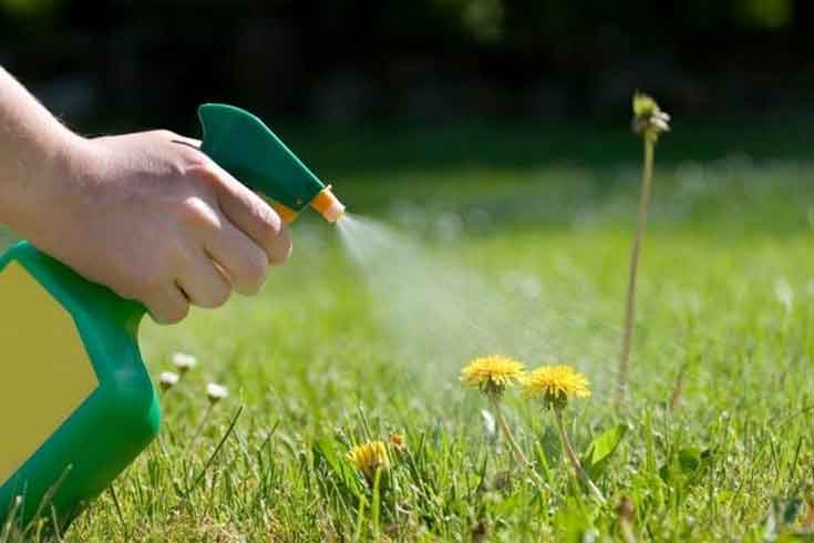 آفت ‎کش و کود